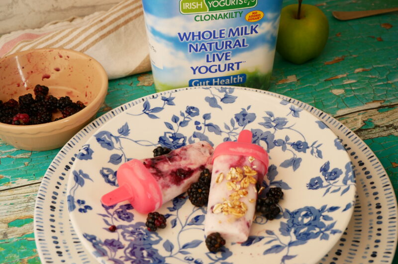 Blackberry & Yogurt Ice Pops